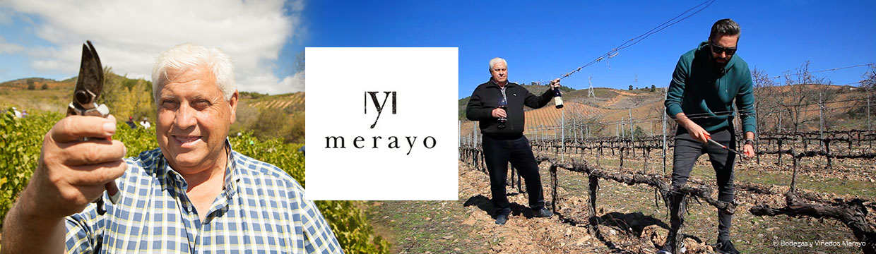 Bodegas y Viñedos Merayo