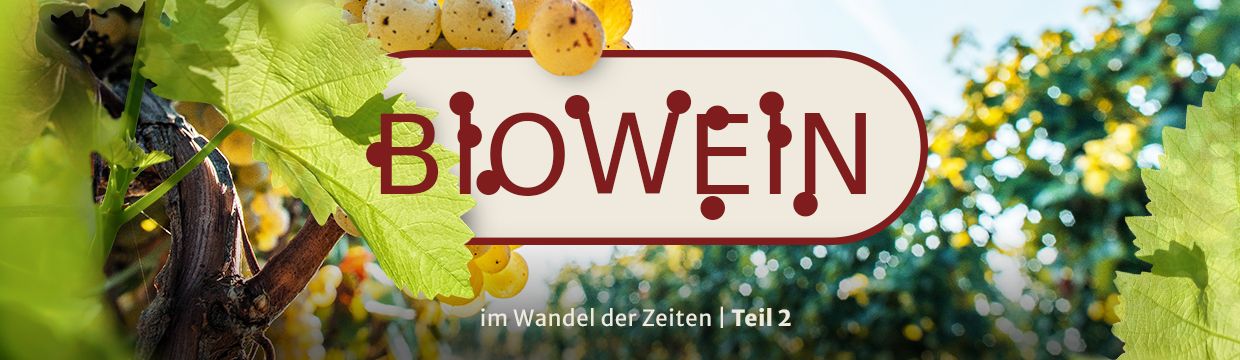 Biowein im Wandel der Zeiten Teil 2