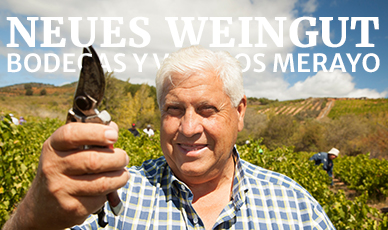 Bodegas Merayo - Weingut